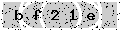 verify code