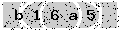 verify code