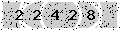 verify code