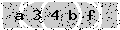 verify code