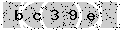 verify code