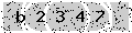 verify code