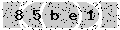 verify code