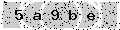 verify code