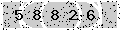 verify code