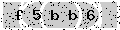 verify code
