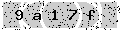 verify code