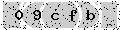 verify code