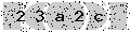 verify code