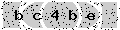 verify code