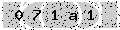 verify code