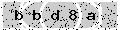verify code