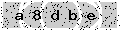 verify code