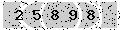 verify code