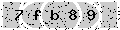 verify code