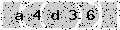 verify code