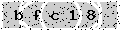 verify code