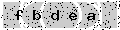 verify code