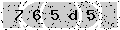 verify code
