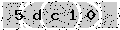 verify code