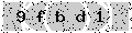 verify code