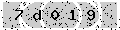 verify code