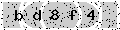 verify code