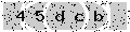 verify code