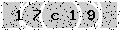 verify code