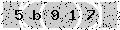 verify code
