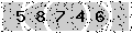 verify code