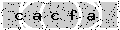 verify code