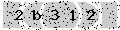 verify code