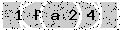 verify code
