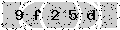 verify code