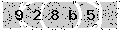 verify code