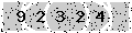 verify code