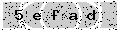 verify code