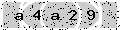 verify code