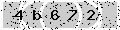 verify code