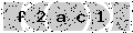 verify code