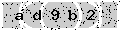 verify code