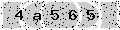 verify code