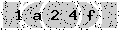 verify code