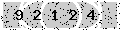 verify code