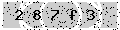 verify code