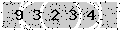 verify code