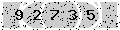 verify code