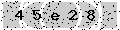 verify code