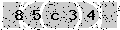 verify code